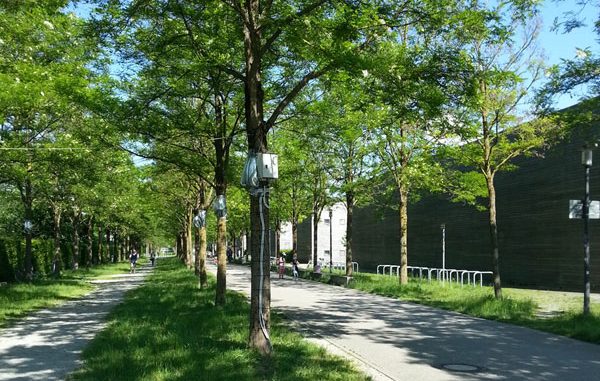 180423_Lehrer-Wirth-Strasse_600x600