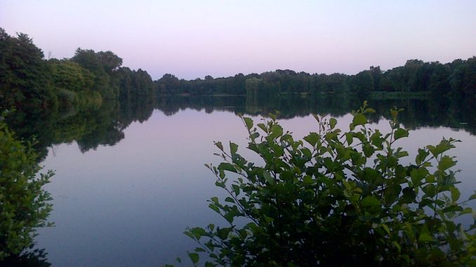 IMG-20130707-00164