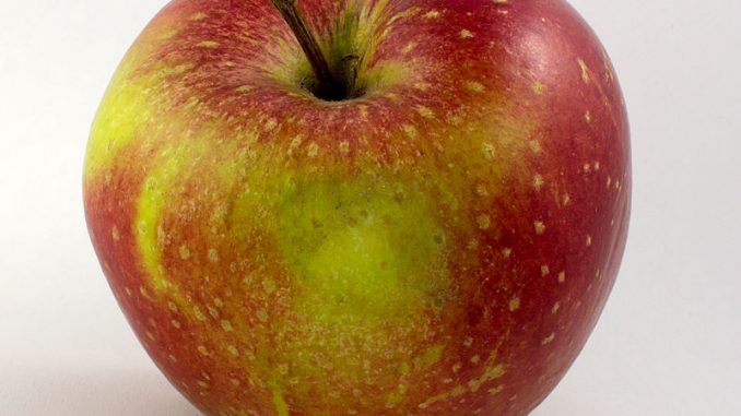 Apfel-Wellant