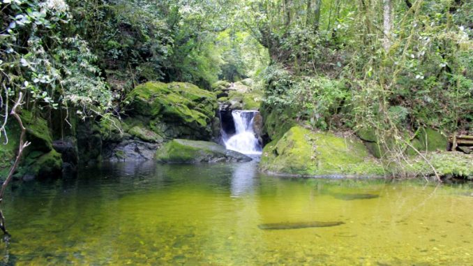 honduras_lempira