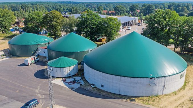 8f18f_Biogas_Tim_Siegert