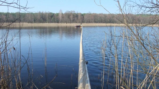 Geteilter Experimentalsee in Brandenburg (c) TERRALAC
