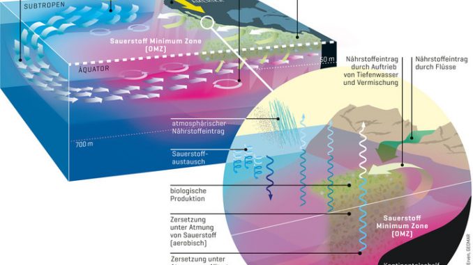 upwelling_OMZ_de_einf_180529pm_7da1a83706