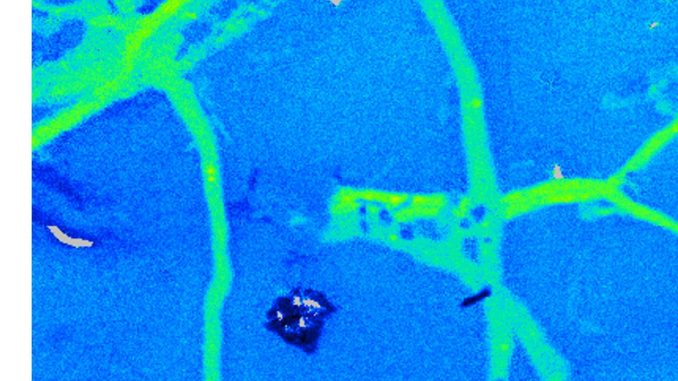 Polymer_im_NanoSIMS