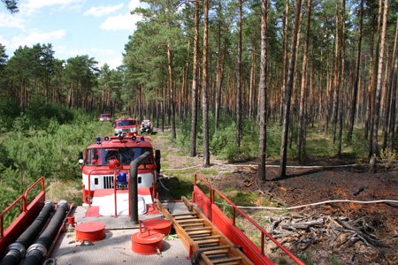 waldbrand