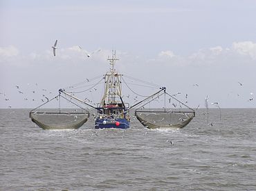 370px-Krabbenkutter_Ivonne_Pellworm_P5242390jm