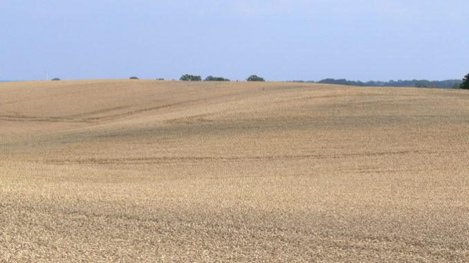 140822-nabu-getreideanbau-ingo-ludwichowski-p1170452