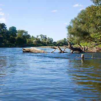 350_wilde-Mulde-Flusslandschaft-c-Heiko-Schrenner-WWF