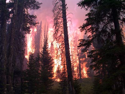 Waldbrand
