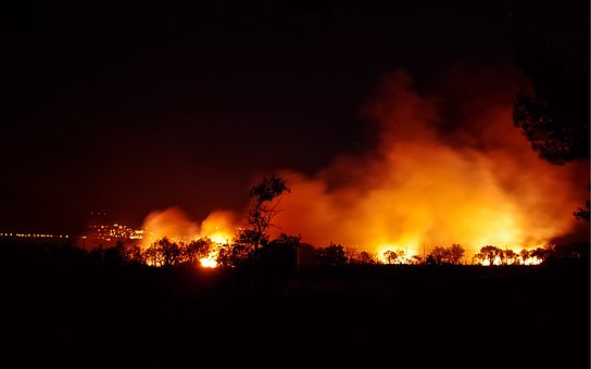 Waldbrand