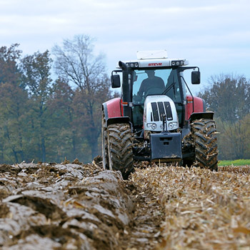 350-Pfluegen_Maisacker_25-ID-50753-_c_-agrarfoto