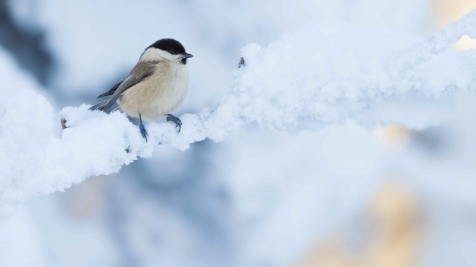 AdobeStock_Alexander Erdbeer