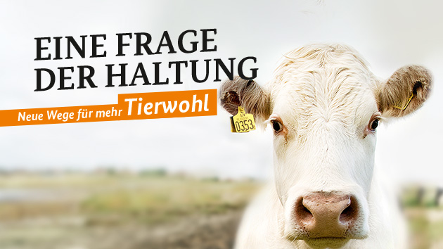 Tierwohl-Initiative-Rind