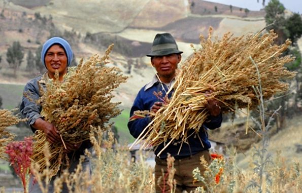 FairtradeQuinoa_ArM