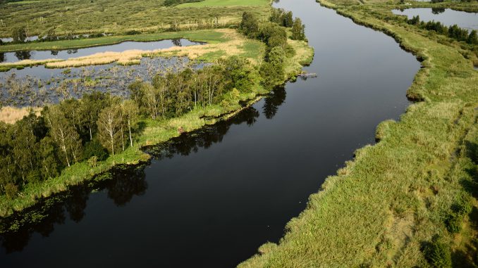Peene river and flooded lands near Anklamer Stadtbruch, Germany