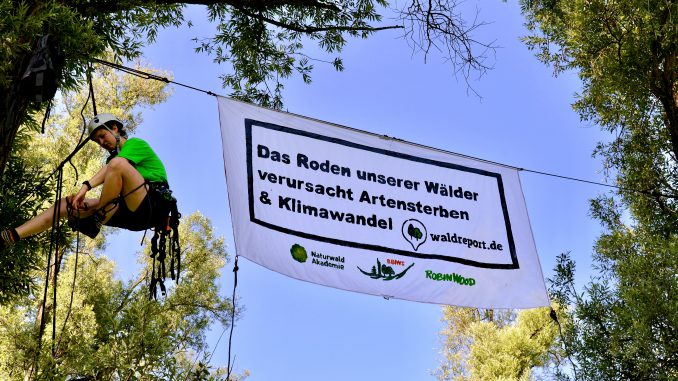 Aktion_Waldreport