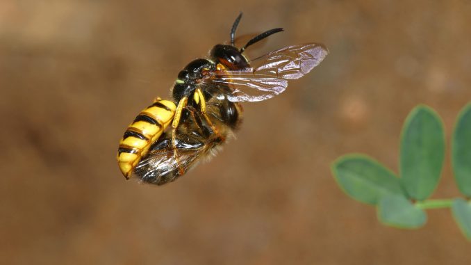 newsimage315735
