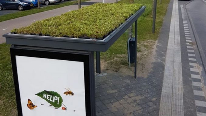 utrecht_groen_bijgewerkt