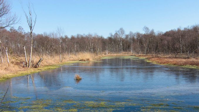 csm_2019_08_14_Ahrensfelder_Moor_LK_Osterholz_02_045a2bd446