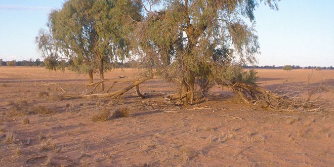 csm_800-HI_108162-Duerre_ca2d369bc3