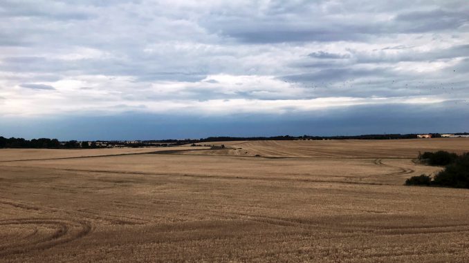 pic_298065b0b720190730123019