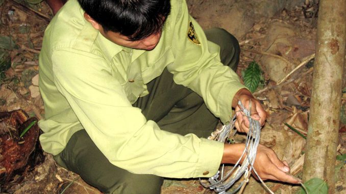 csm_Removing_Snares_Andrew_Tilker_24dacf53e9