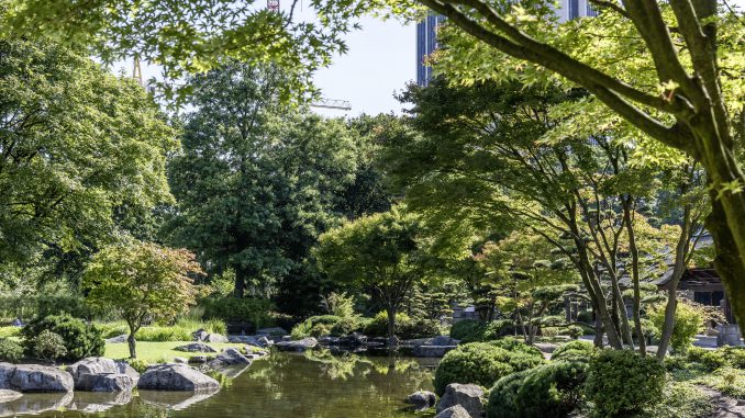 Stadt der Zukunft benötigt dringend klimaresiliente Gehölze