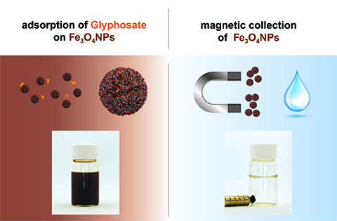 Glyphosat