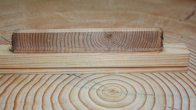 mittelalterliche-holzprobe-IMG_8668-20160218-tobias-scharnweber-300dpi-1500xnn-srgb-