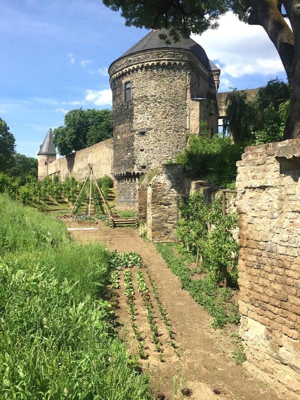 Andernach Stadt Andernach Stadt