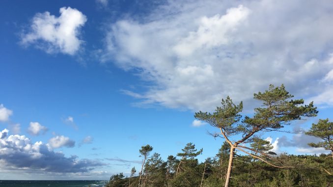 PM_Ostseewaelder_2_janecka-karolina
