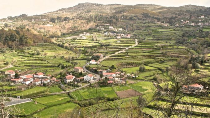 csm_terassenwirtschaft-portugal-copyright-angela-lomba_ed0f0b177a