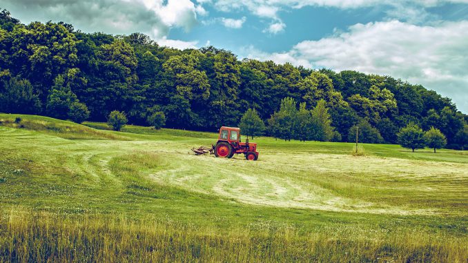 landwirtschaft_oekologisch_gentechnikfrei