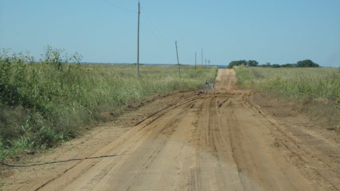 DSC00061
