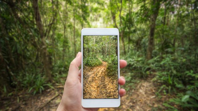 Foto_iEcology_shutterstock