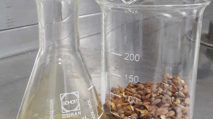 Olio di semi di mela