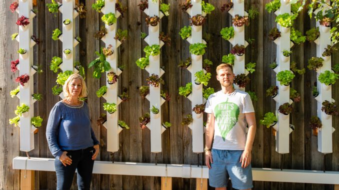 Vertical Water-Farm @ Beach61, FG Städtebau und Siedlungswesen, Fak. IV, Technische Universität Berlin
