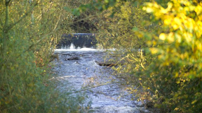 pic_20200914101816_c6ef8cb8df