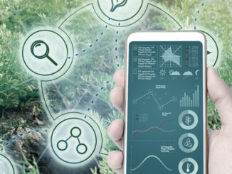 Über ein Drittel der grünen Hightech-Unternehmen im Verarbeitenden Gewerbe (STW & HTW) haben in 2021 Marktneuheiten eingeführt. Des Weiteren verzeichnen fast die Hälfte der grünen Unternehmen im technologieorientierten Dienstleistungs- und Softwarebereich (TDL & Software) Forschungs- und Entwicklungsaktivitäten