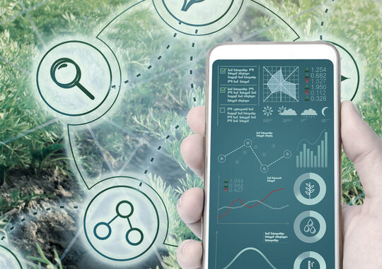 Über ein Drittel der grünen Hightech-Unternehmen im Verarbeitenden Gewerbe (STW & HTW) haben in 2021 Marktneuheiten eingeführt. Des Weiteren verzeichnen fast die Hälfte der grünen Unternehmen im technologieorientierten Dienstleistungs- und Softwarebereich (TDL & Software) Forschungs- und Entwicklungsaktivitäten